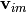 \vector{v}_{im}