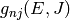 g_{nj}(E, J)